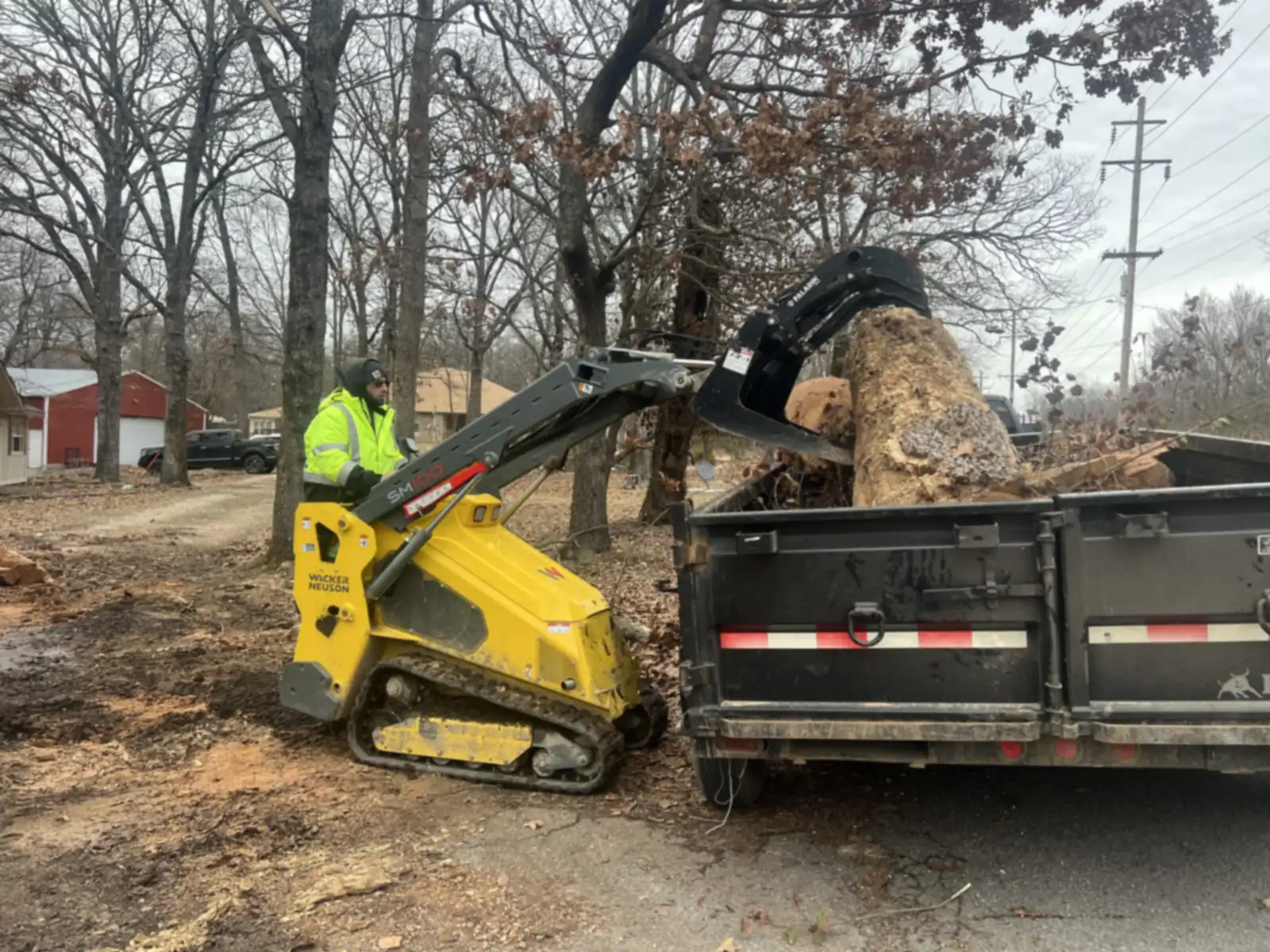 Crew removing a large tree in Tahlequah, OK